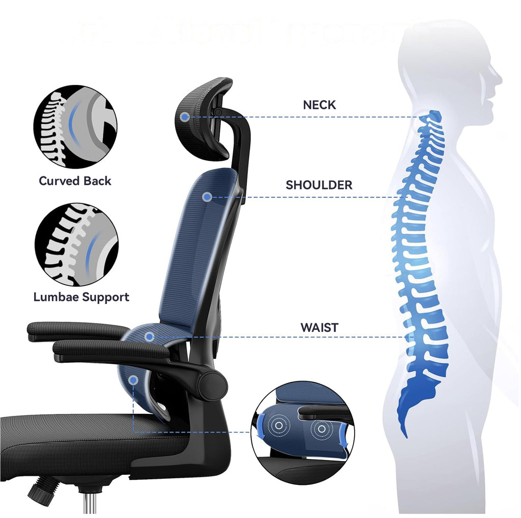 Avreno Bürostuhl mit ergonomischem 4-Punkt-Stützsystem