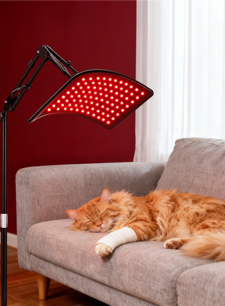 Avreno Rotlichttherapie Lampe für Haustiere im Einsatz