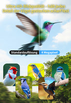 Avreno Vogelfutterhaus Nahaufnahme Futterschale