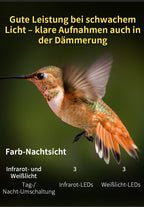 Avreno Vogelfutterhaus Nahaufnahme App-Benachrichtigung