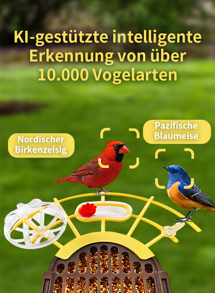 Avreno Vogelfutterhaus Nahaufnahme Kamera