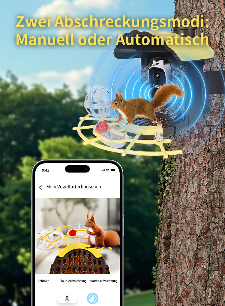 Avreno Vogelfutterhaus Nahaufnahme Vogelperspektive
