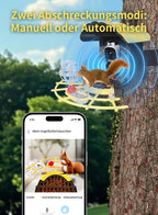 Avreno Vogelfutterhaus Nahaufnahme Vogelperspektive