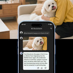 Fenzora Smart Glasses - KI-gestuetzte Fotoerkennung
