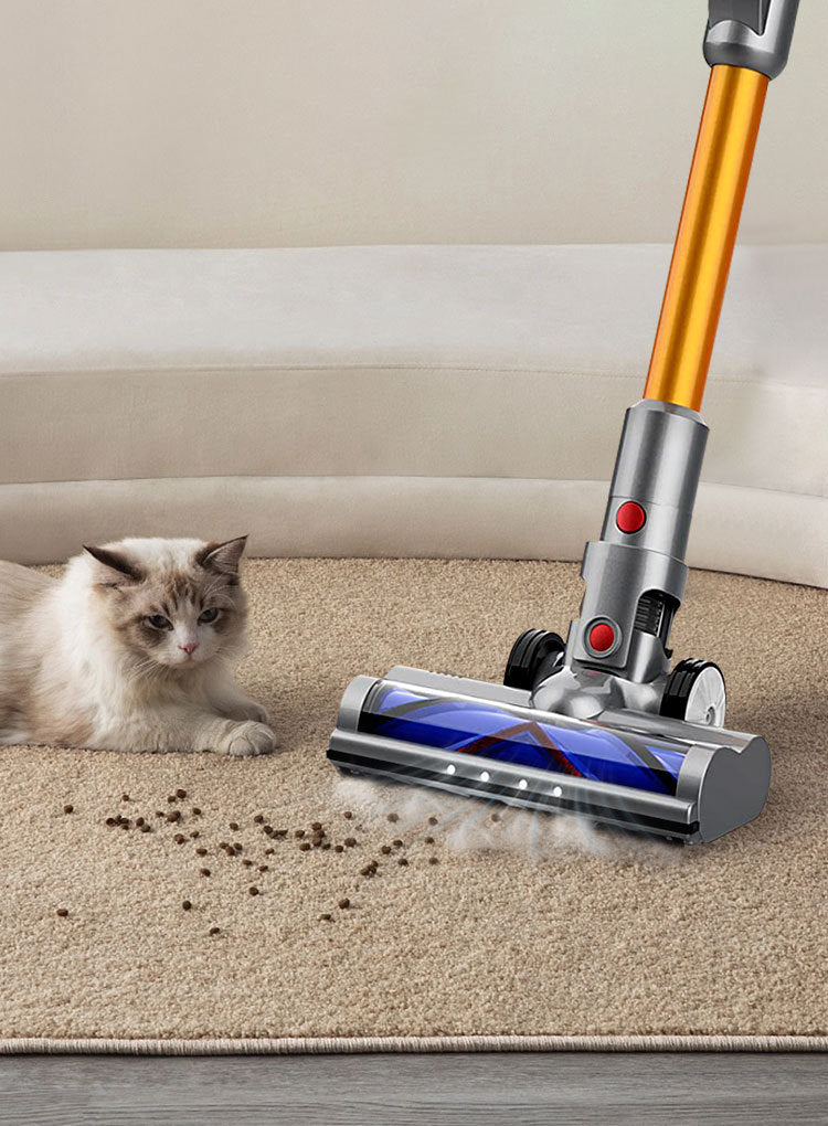 LynorHome Akku Staubsauger auf Teppich mit einer Katze, die in der Nähe beobachtet