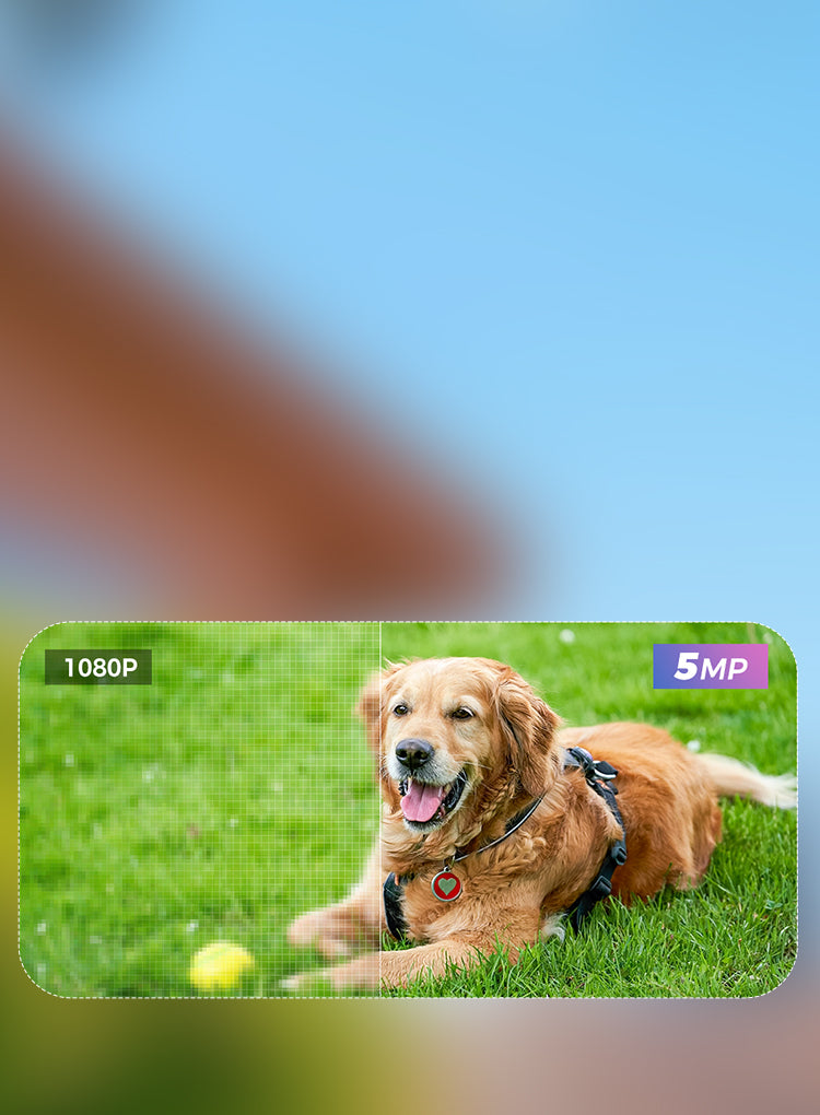 Norexo Beveiligingscamera behuizing close-up