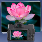 Norwiss Digitalkamera displaying a pink lotus flower on its screen with a monitor showing the same image in the background.